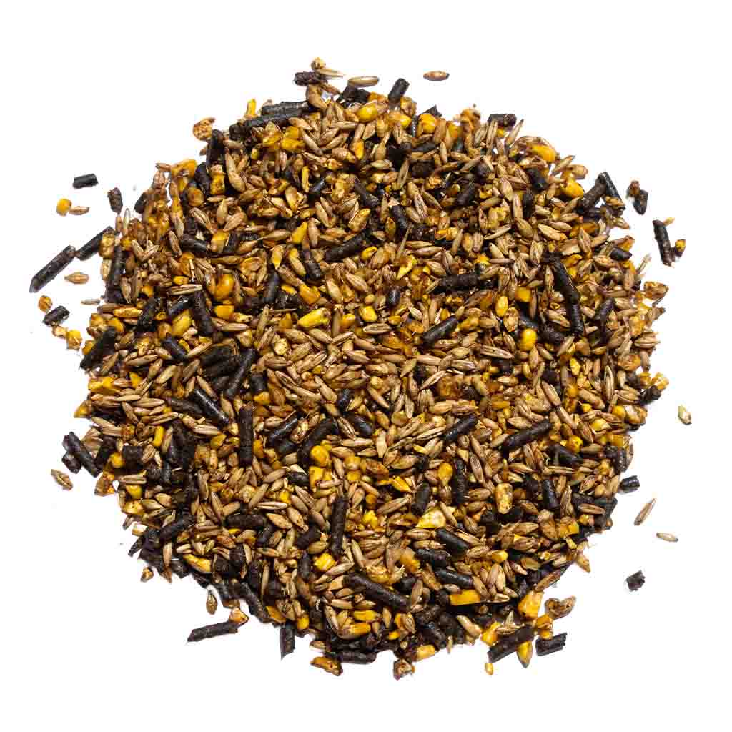 Classic Gold Textured Horse Feed