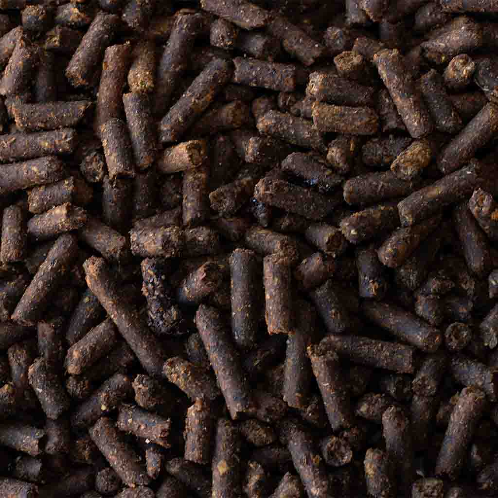 Senior Textured Horse Feed